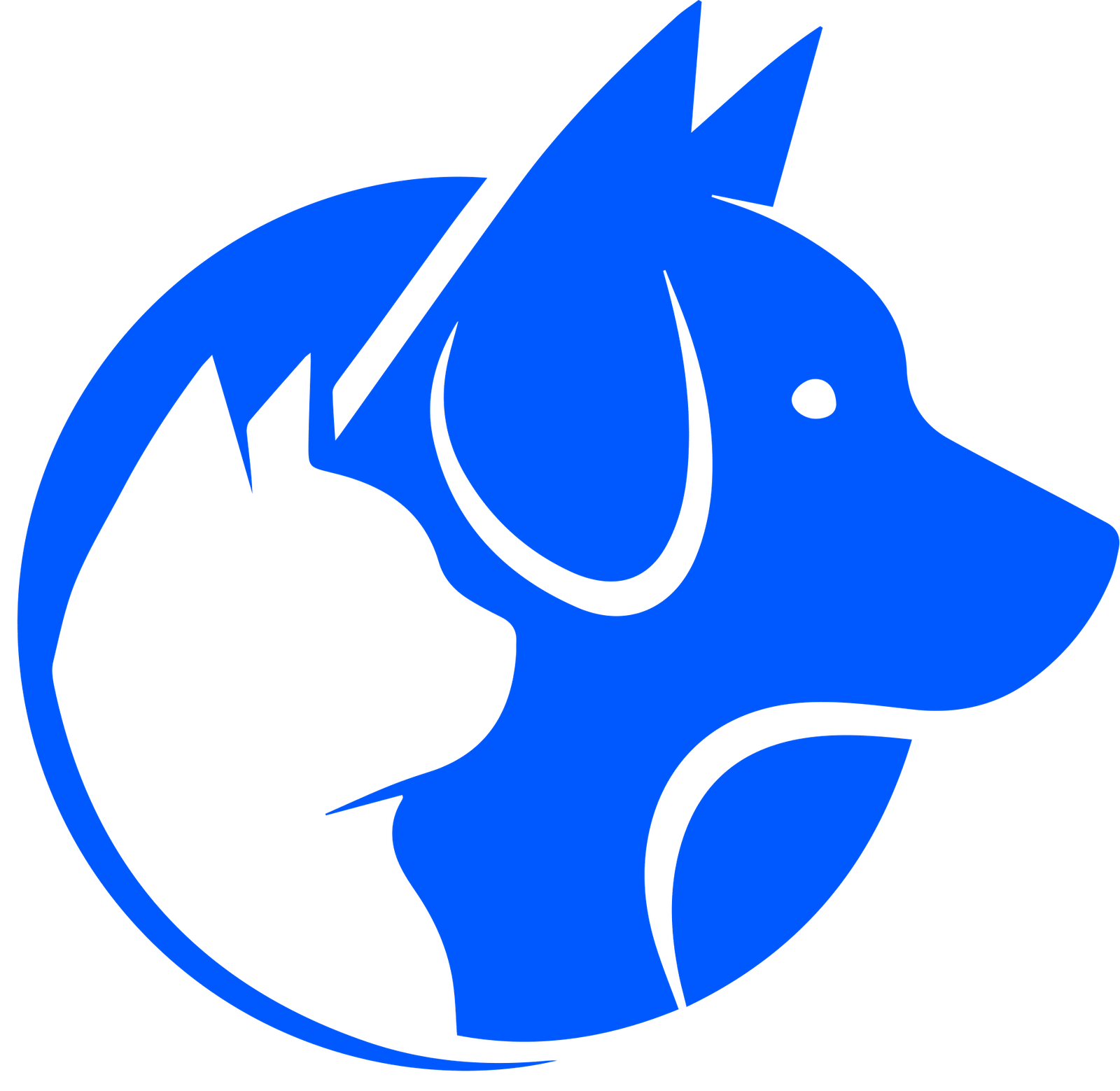 Pivetta Dr. Fulvio Ambulatorio Veterinario
